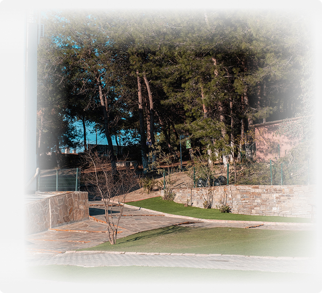 Orman Okulu Deneyimi